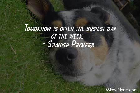 procrastination-Tomorrow is often the busiest