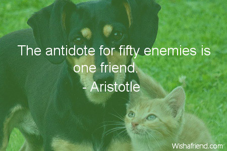 shortfriendshipquotes-The antidote for fifty enemies