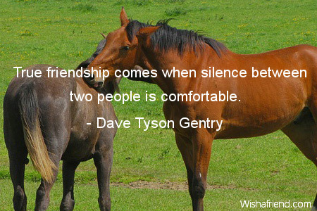 shortfriendshipquotes-True friendship comes when silence