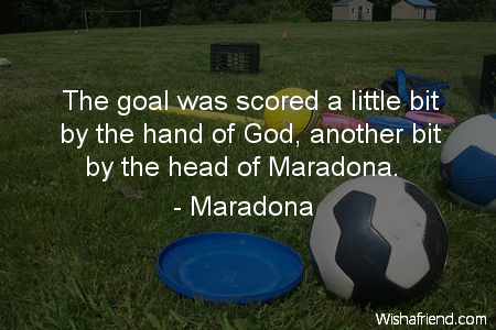 soccer-The goal was scored a