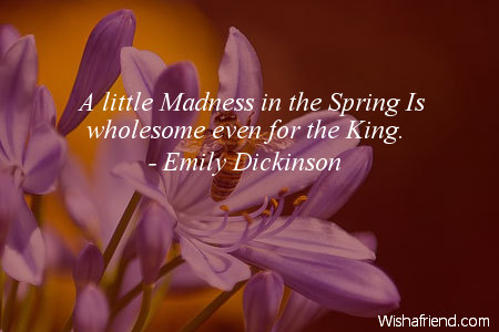 spring-A little Madness in the