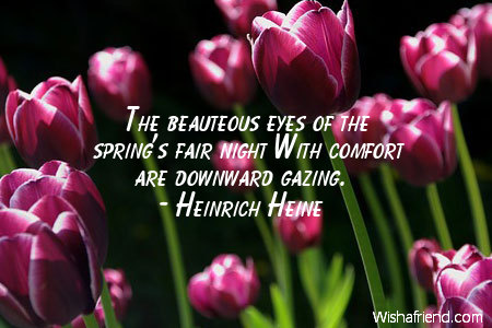 spring-The beauteous eyes of the