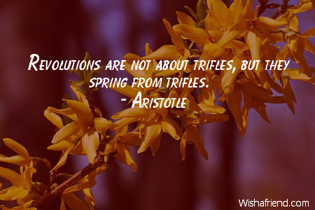 spring-Revolutions are not about trifles,