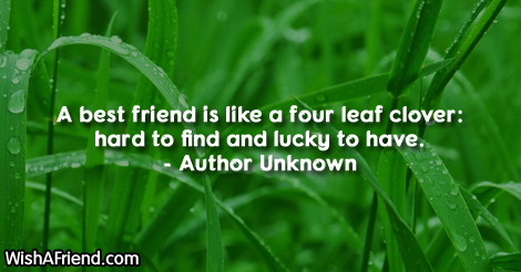 stpatricksday-A best friend is like