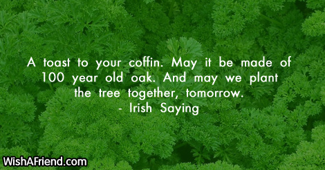 stpatricksday-A toast to your coffin.