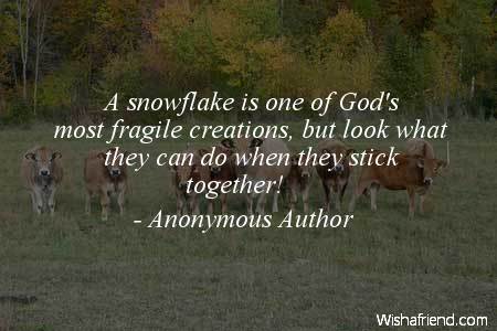 teamwork-A snowflake is one of