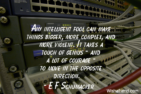 technology-Any intelligent fool can make