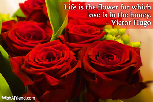 valentinesday-Life is the flower for