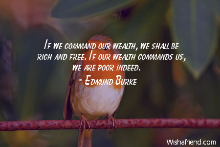 wealth-If we command our wealth,