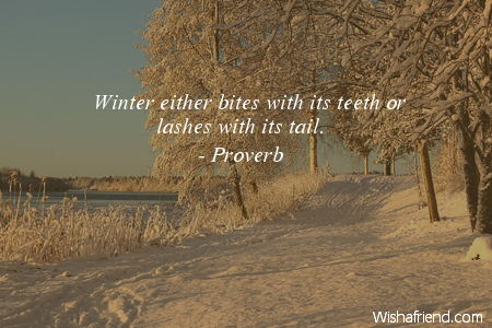 winter-Winter either bites with its