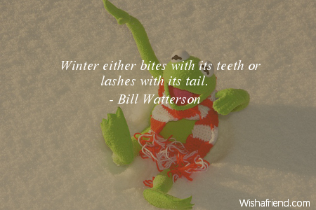 winter-Winter either bites with its