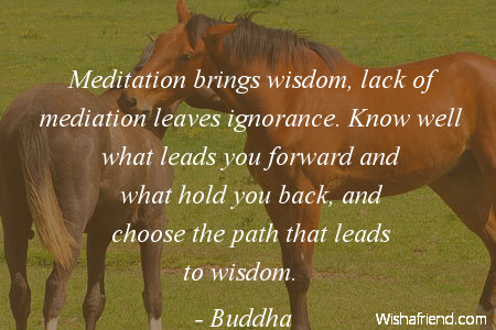 wisdom-Meditation brings wisdom, lack of