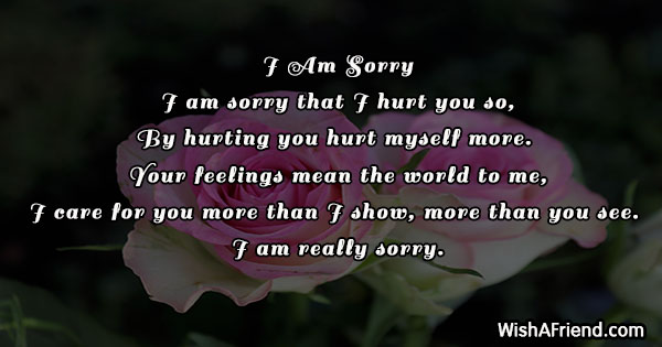 10317-sorry-poems