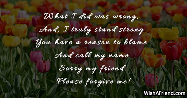 11938-i-am-sorry-messages-for-friends
