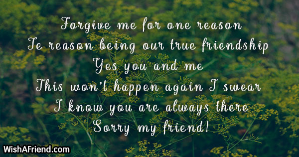 To words of a friend apology Words To