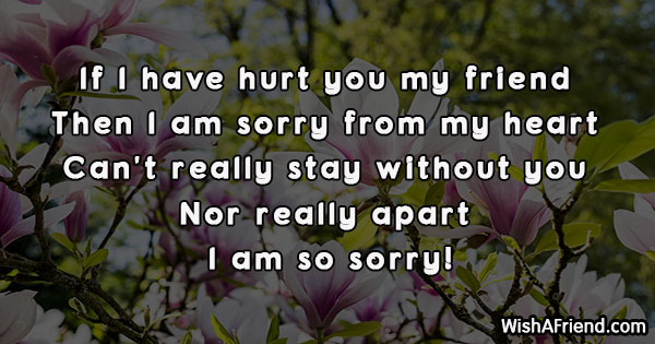 11941-i-am-sorry-messages-for-friends