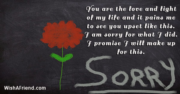 Sorry quotes to wife