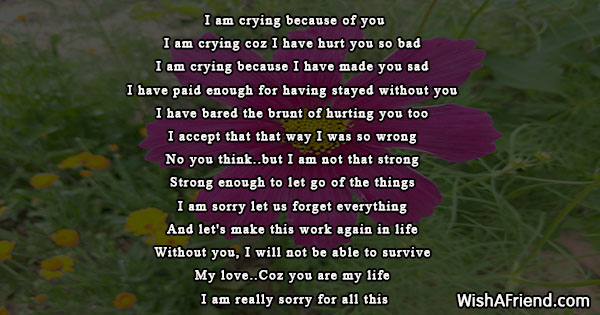 sorry-poems-for-her-19585