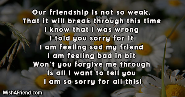 21395-i-am-sorry-messages-for-friends