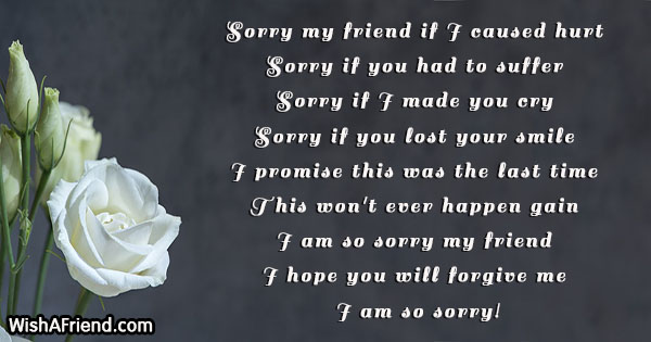 i-am-sorry-messages-for-friends-21398