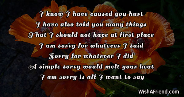 i-am-sorry-messages-for-friends-21401