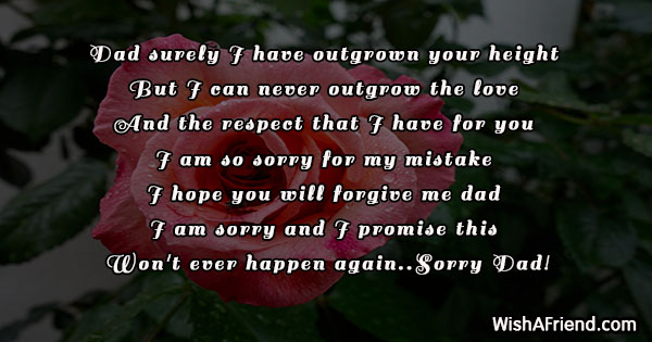 23441-i-am-sorry-messages-for-dad