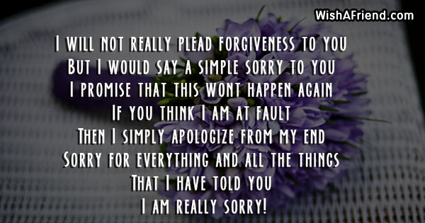 23465-i-am-sorry-messages-for-wife