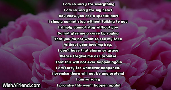 23475-sorry-poems-for-him
