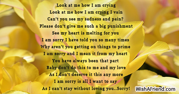 sorry-poems-for-him-23476