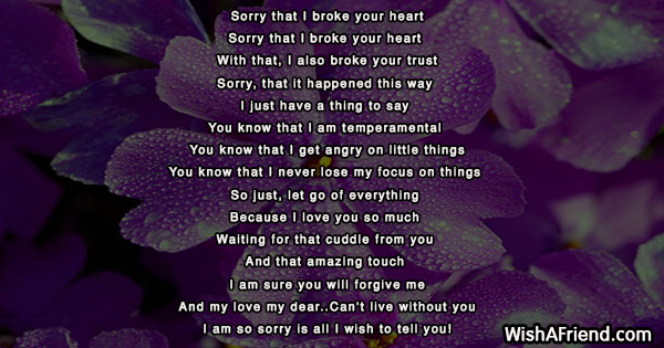 23478-sorry-poems-for-him