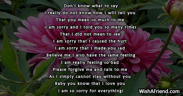 sorry-poems-for-him-23480