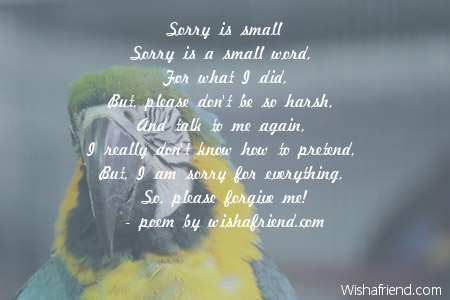 5044-sorry-poems