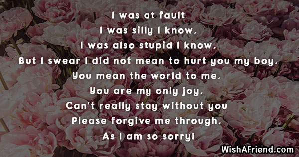 9832-sorry-poems-for-him