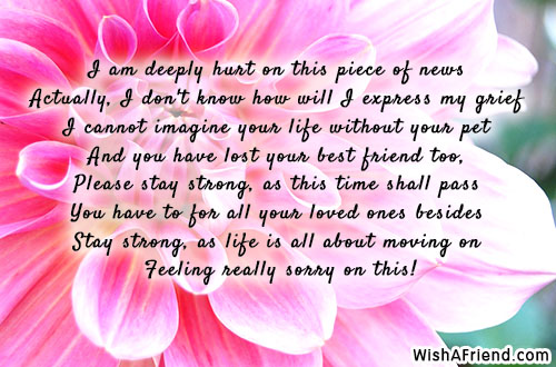 thumbnail image 2 of Where There Is Deep Grief, There Was Great Love - Still Moments 2 of 14