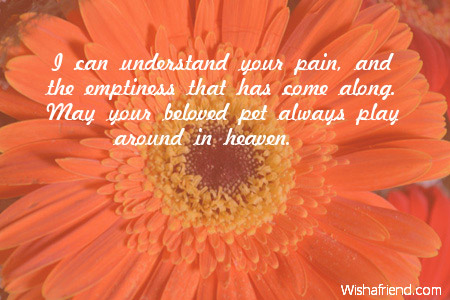 sympathy-messages-for-loss-of-pet-3493