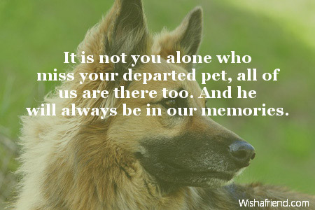 sympathy-messages-for-loss-of-pet-3494