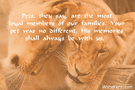 3495-sympathy-messages-for-loss-of-pet