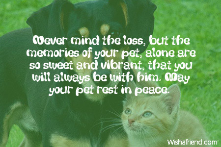 3496-sympathy-messages-for-loss-of-pet