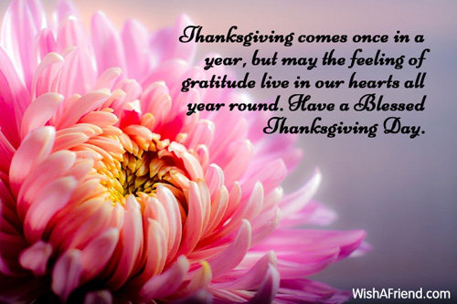 thanksgiving-wishes-4617