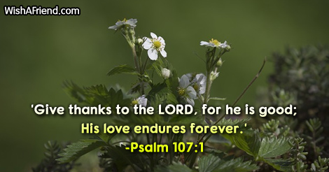 bible-verses-for-thanksgiving-4624