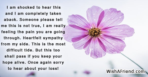 20699-words-about-sympathy
